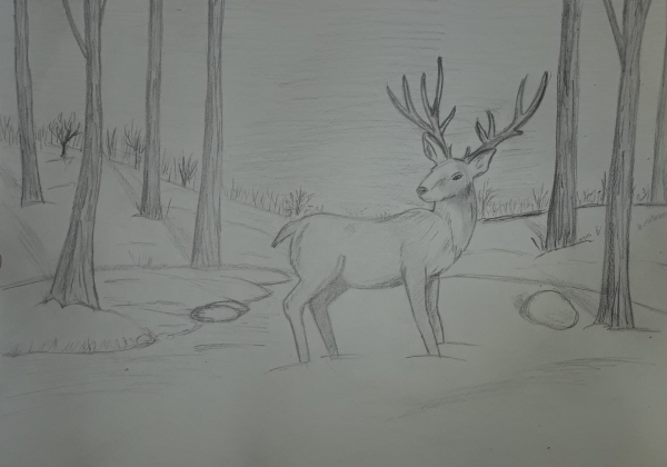 Рисунок олень на природе простым карандашом