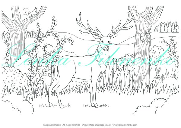 Раскраска олень в лесу