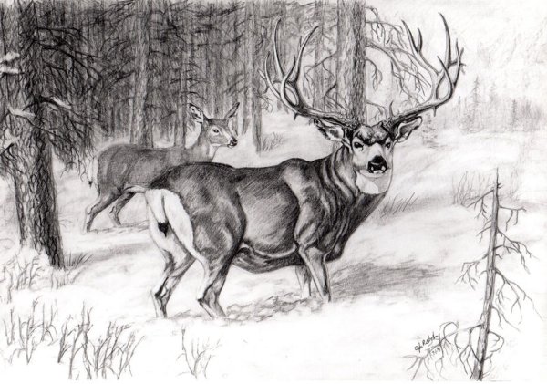 Лес и олень эскизы для выжигания