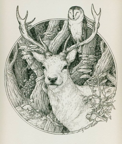 Олень раскраска