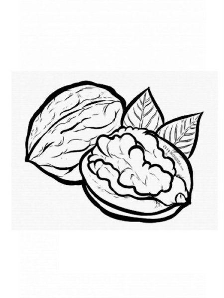 Нарисовать грецкий орех