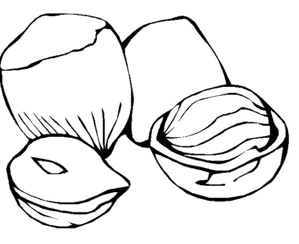 Орех для раскрашивания