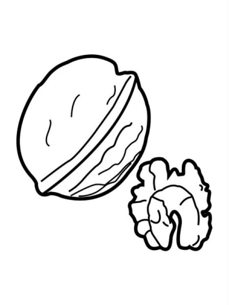 Грецкий орех раскраска для детей