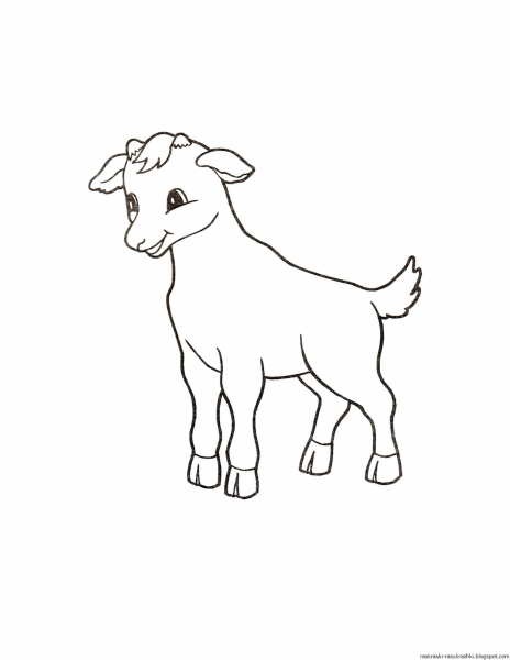 Поэтапное рисование козленка