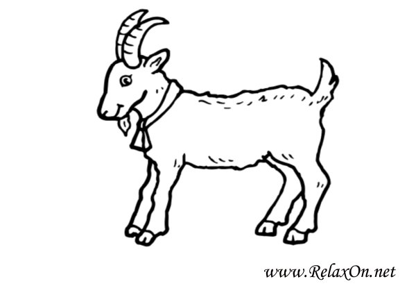 Козленок раскраска