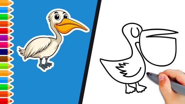 Рисуем пеликана