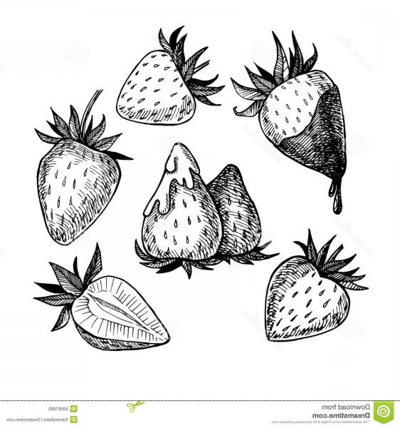 Земляника Графика