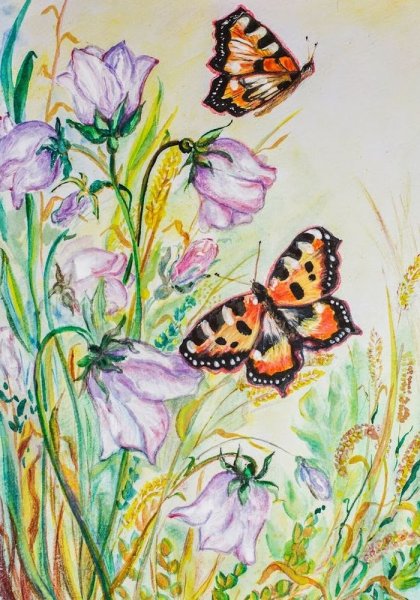 Бабочка цветными карандашами