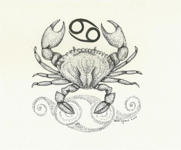 Знаки зодиака рисунки карандашом