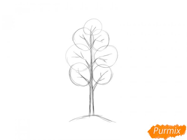 Дерево осина нарисовать карандашом