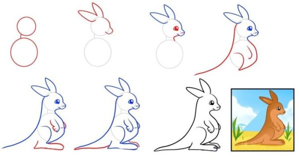 Кенгуру карандашом