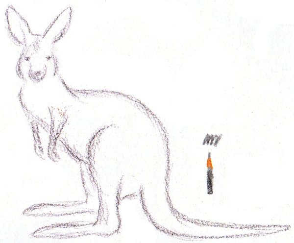 Кенгуру карандашом