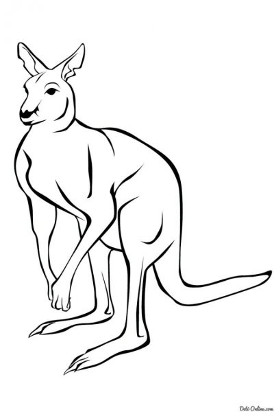 Кенгуру карандашом