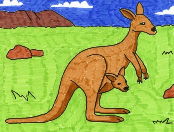 Рисунок кенгуру пошагово