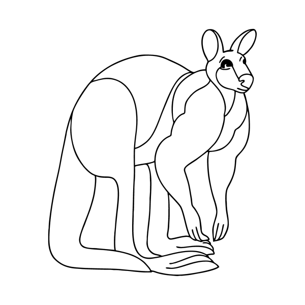 Кенгуру раскраска