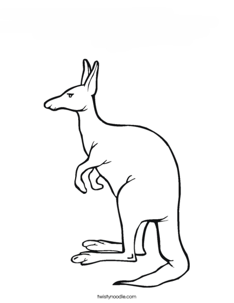 Кенгуру карандашом