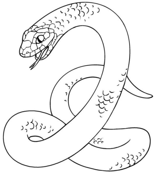 Змея рисунок для детей 5 лет