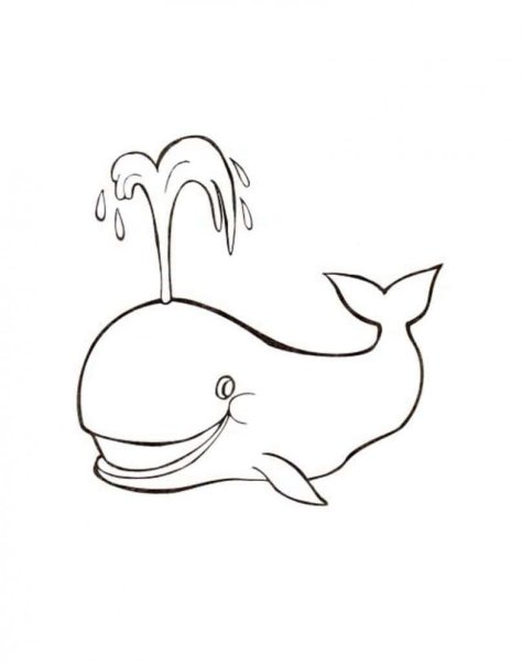 Раскраска. Кит