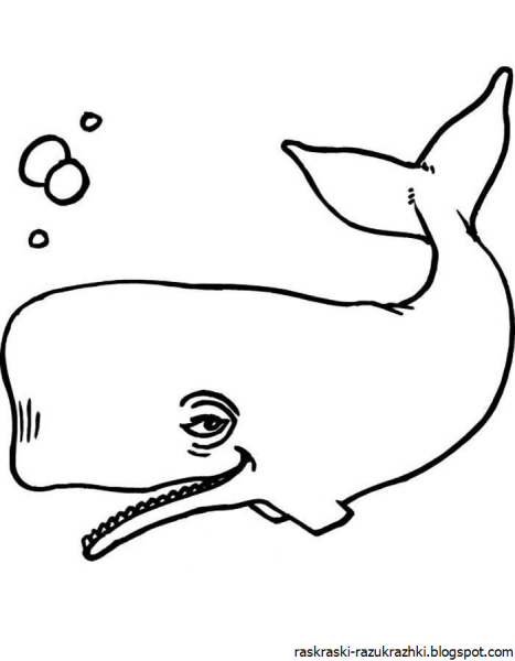 Поэтапное рисование кита для дошкольников