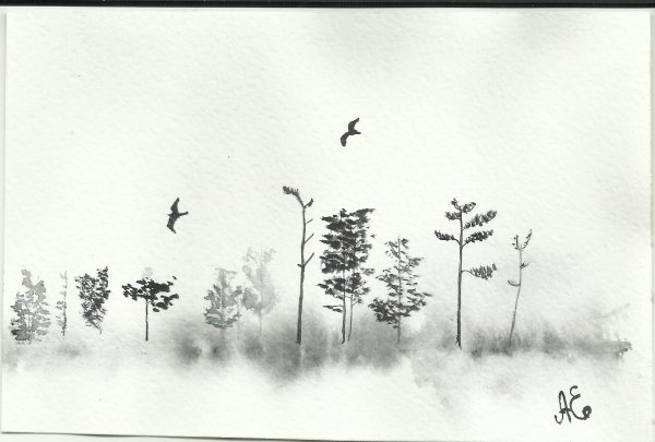 Нарисовать туман