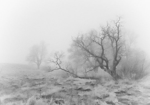 Туман карандашом