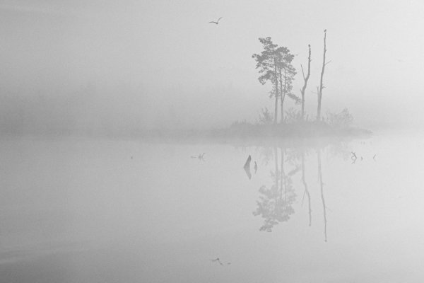 Туман рисунок карандашом