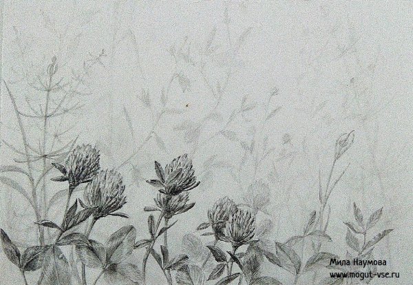 Туман карандашом