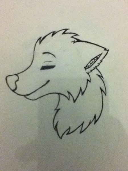 Волчонок карандашом