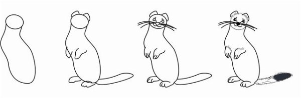 Нарисовать суслика