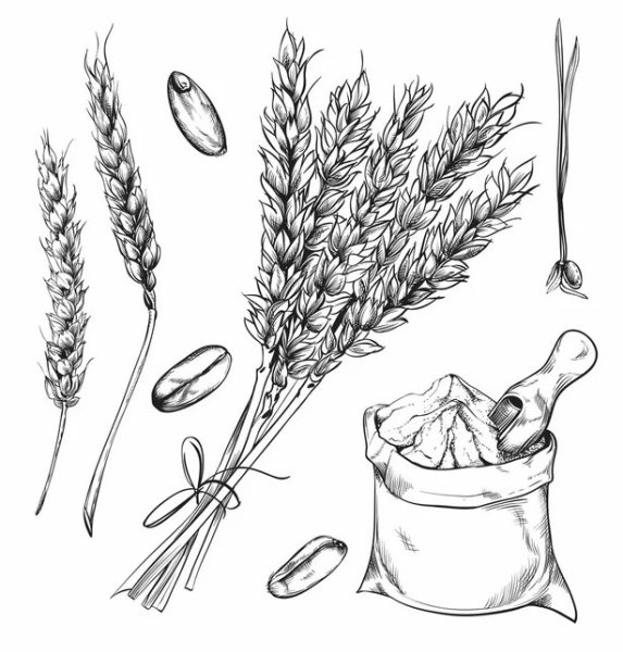 Колос в графике