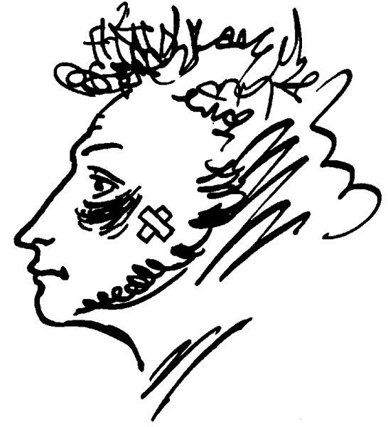 Графика Елена Шипицова Пушкин