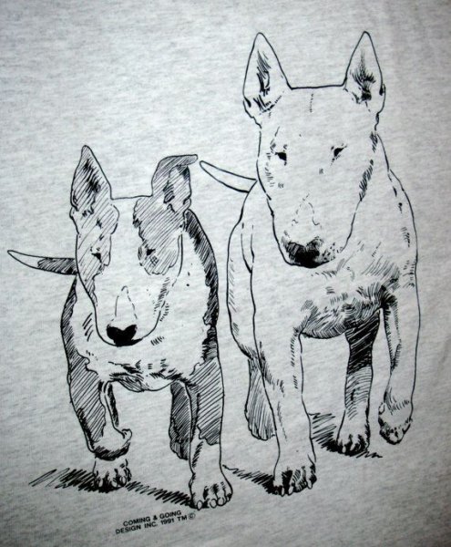 Бультерьер скетч