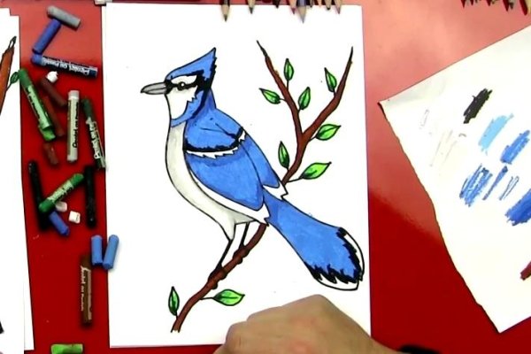Нарисовать сойку карандашом