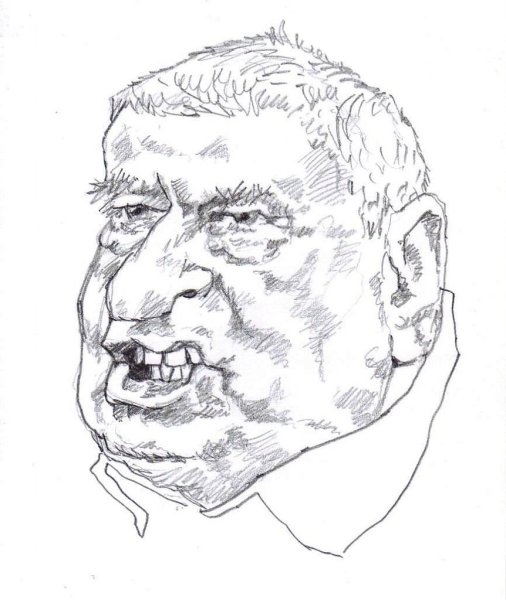 Жириновский рисунок