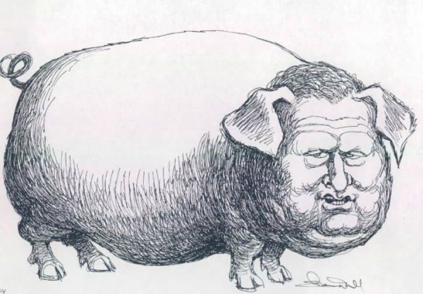 Жириновский Владимир шарж