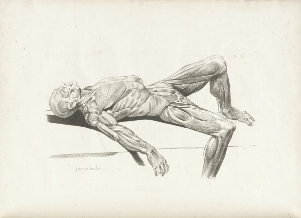 Лежащая фигура человека