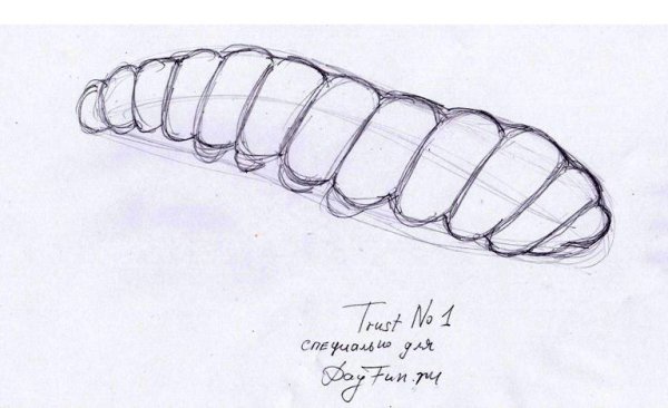 Как нарисовать гусеницу карандашом