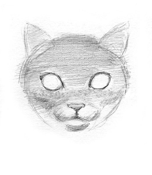 Лицо кошки карандашом