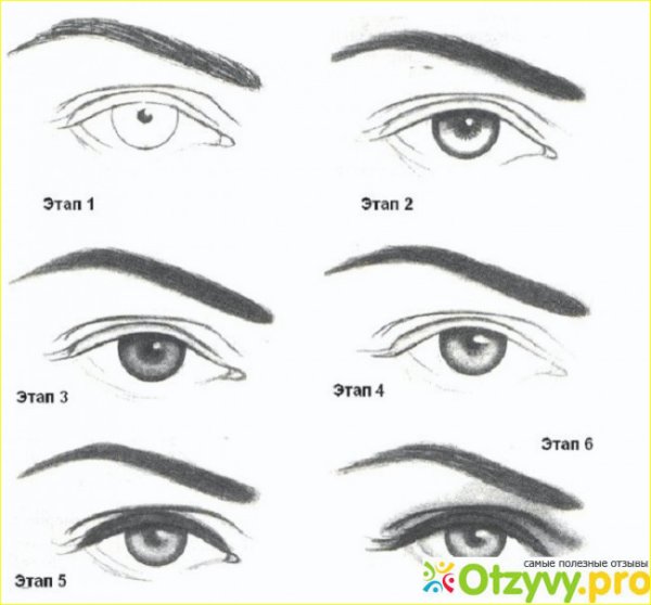 Схема рисования глаз с бровями