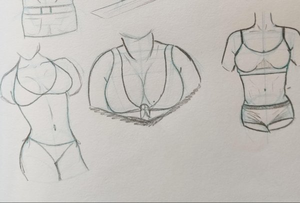 Женская грудь рисунок