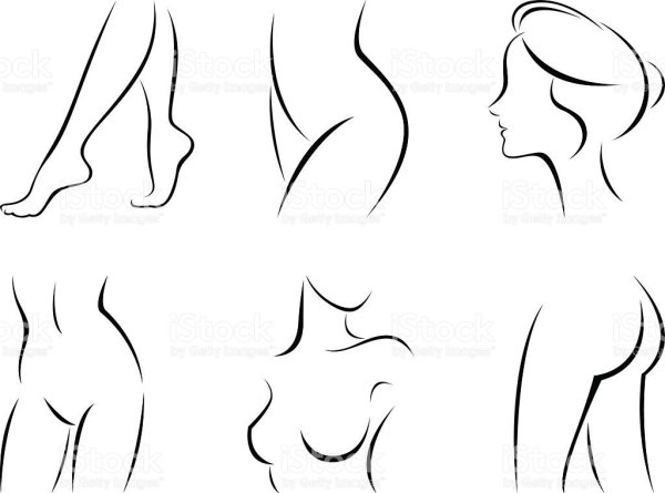 Анатомия референс позы