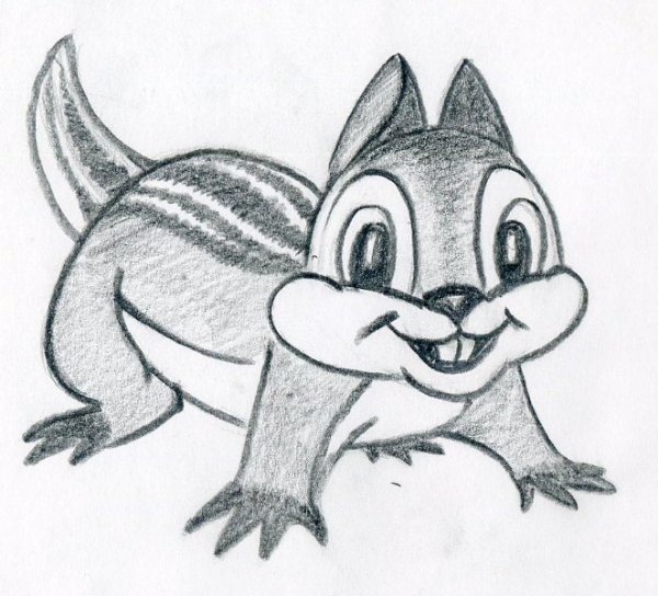 Рисунок белки