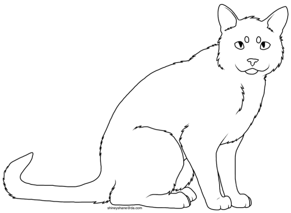 Лайн кота сбоку