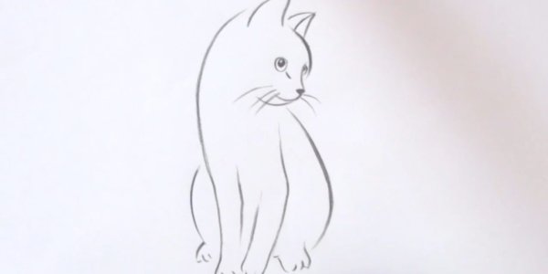 Котенок сидит рисунок карандашом