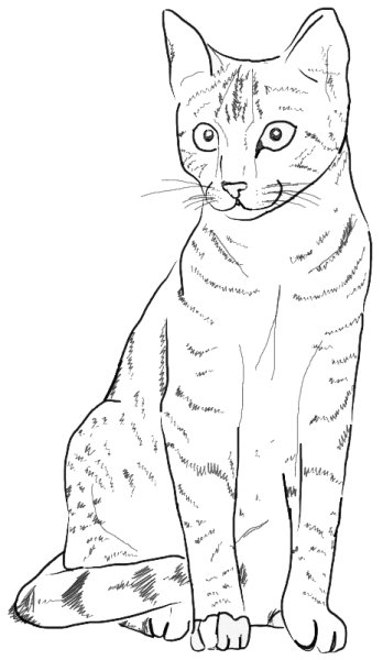 Кошка рисунок карандашом
