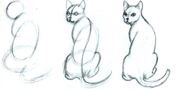 Наброски животных легкие