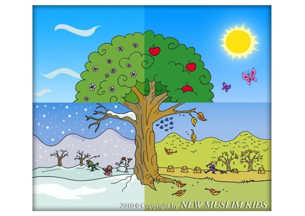 Дерево сезонов по английскому языку