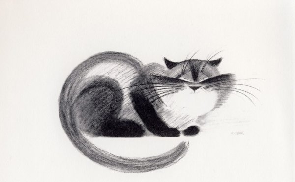 Кот Графика