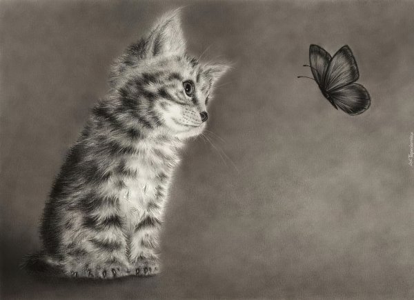 Рисунки карандашом