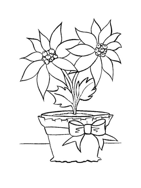 Раскраска цветок узамбарская фиалка